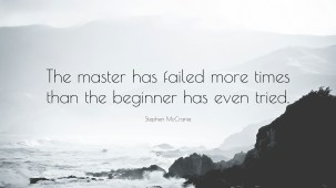 19033-stephen-mccranie-quote-the-master-has-failed-more-times-than-the